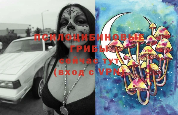 индика Краснослободск