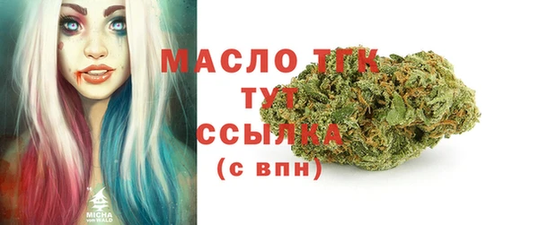 твердый Богородицк