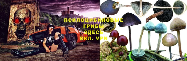 соль курить ск Костерёво
