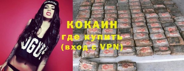 твердый Богородицк