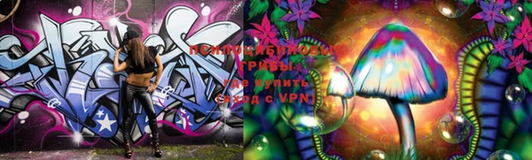 PSILOCYBIN Богородск