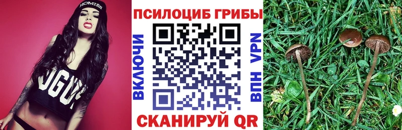 Галлюциногенные грибы мухоморы  Боровск 